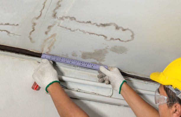 Reliable Water Damage Repair contractor in Miller City, OH by Hirex Water Damage